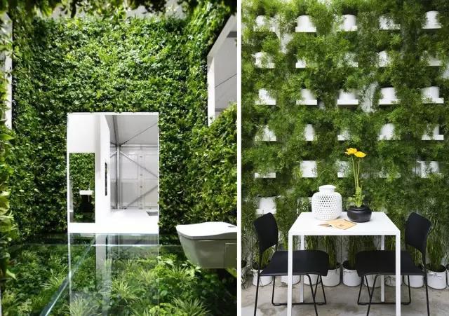 綠植長在墻上，個性又省地方！